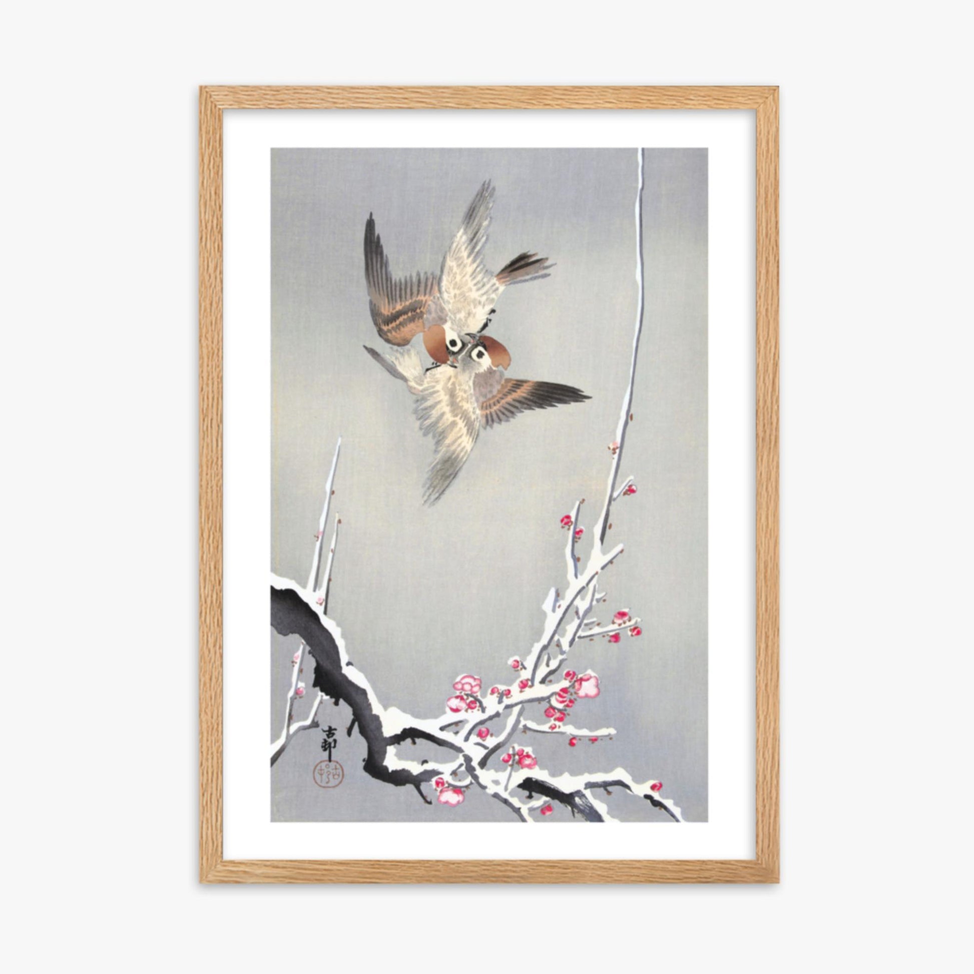 Ohara Koson - Sparrows and Snowy Plum Tree 50x70 cm Poster With Oak Frame