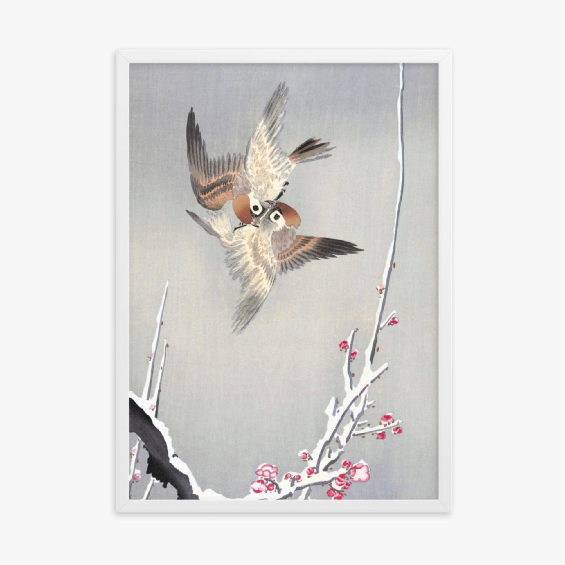 Ohara Koson - Sparrows and Snowy Plum Tree 50x70 cm Poster With White Frame