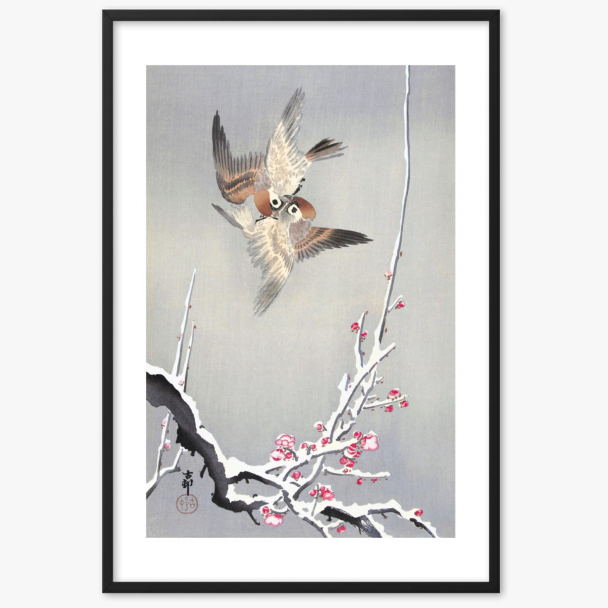 Ohara Koson - Sparrows and Snowy Plum Tree 61x91 cm Poster With Black Frame