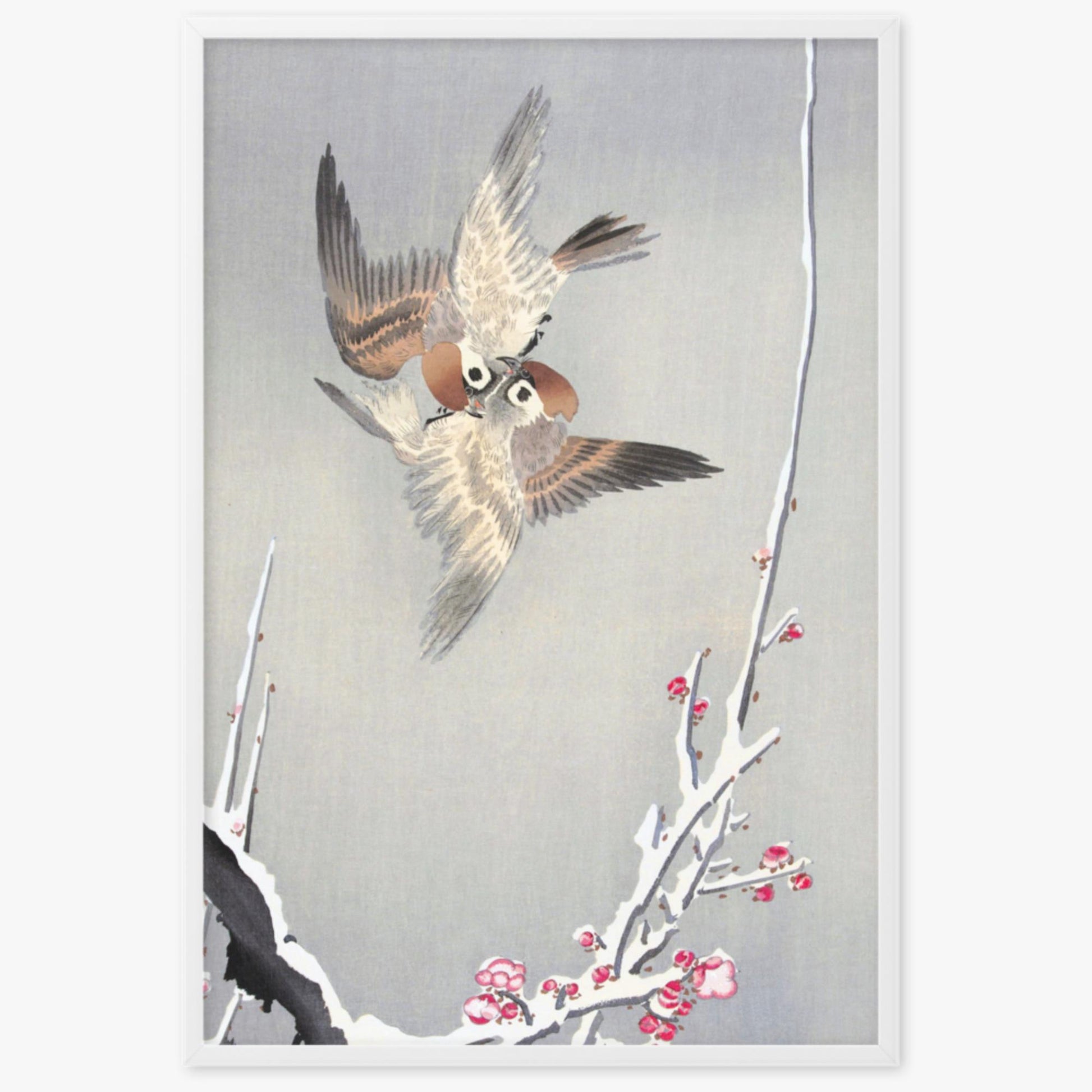 Ohara Koson - Sparrows and Snowy Plum Tree 61x91 cm Poster With White Frame